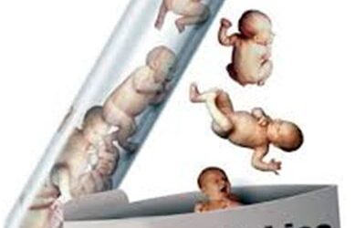 Engineering the Ideal Child