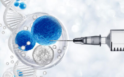 Addressing Human Embryo Stem Cell Research