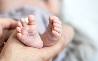 Abortionists: Abandoning the Veil