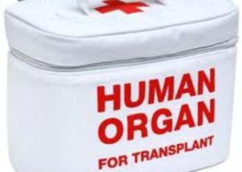 Organ Harvest Stampede