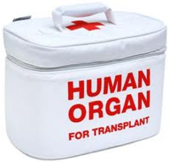 Organ Harvest Stampede