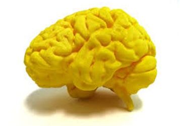 Print Me a New Brain
