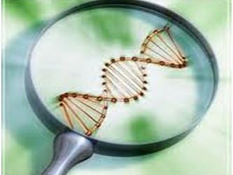 The Double-Edged Sword of Gene Editing