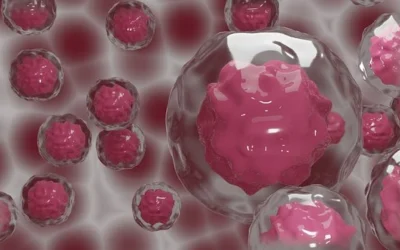 Those Amazing Stem Cells