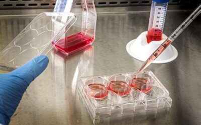 Some Prenatal Tests Usually Wrong