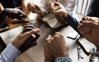 Ideas for Chapter Projects