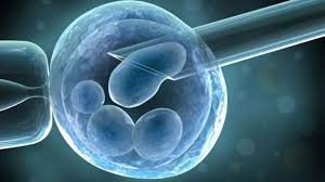 Is IVF the Way to Go?