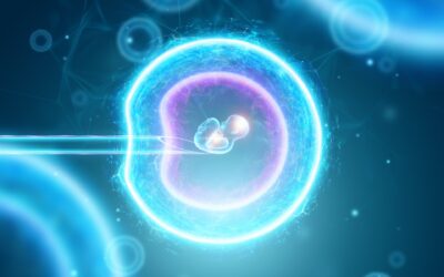 Embryos Desperately Need Adoption