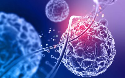 25 Years of Research: Zero Diseases Cured with Embryonic Stem Cells