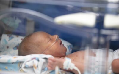 Living Proof: Why the “Life of the Mother” Claim is a Lie