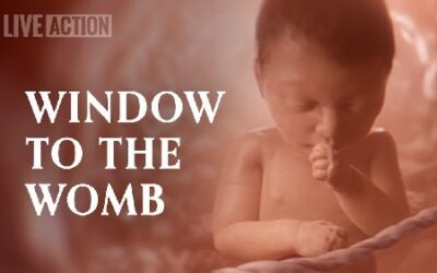 Baby Olivia: One Face for 65 Million