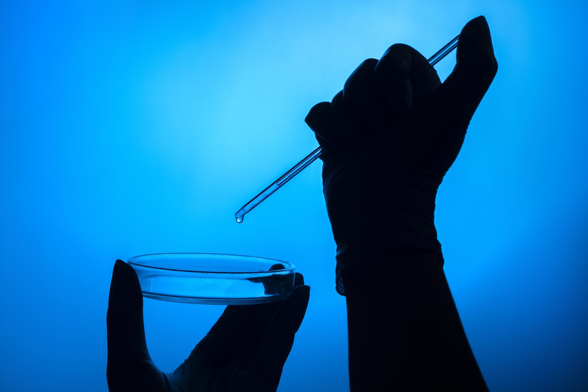Hand making test lab with petri dish dropper